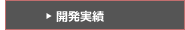開発実績