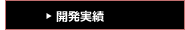 開発実績